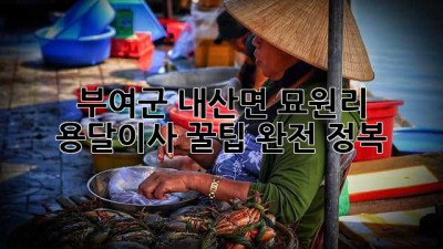 부여군 내산면 묘원리 용달이사, 꿀팁 완전 정복!