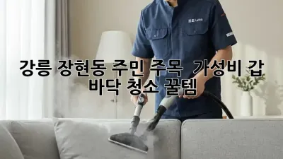 강릉 장현동 주민 주목! ✨ 가성비 갑 바닥 청소 꿀템🍯